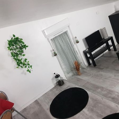 Appartement Cocooning Auterive Auterive  エクステリア 写真