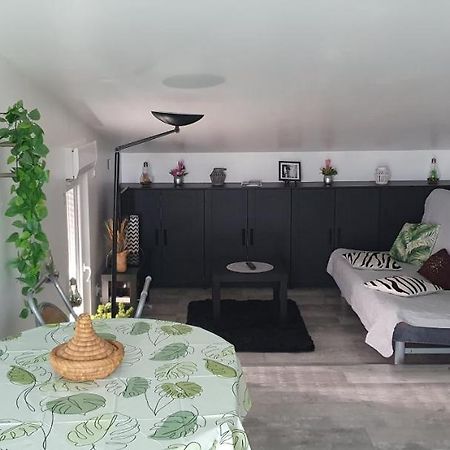 Appartement Cocooning Auterive Auterive  エクステリア 写真