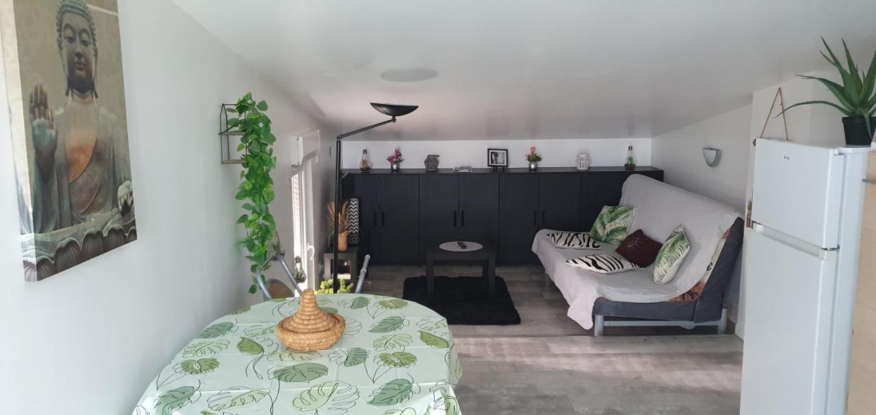 Appartement Cocooning Auterive Auterive  エクステリア 写真